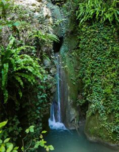 Bagni di foresta, domenica 27 luglio 2025